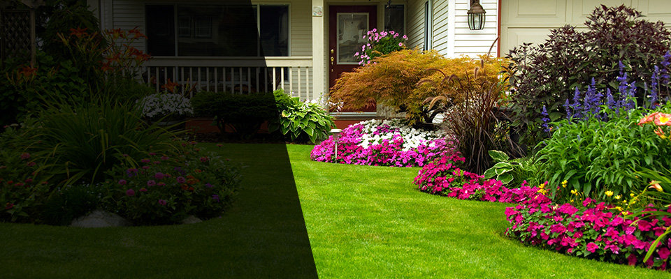 Fort Mill Landscapers