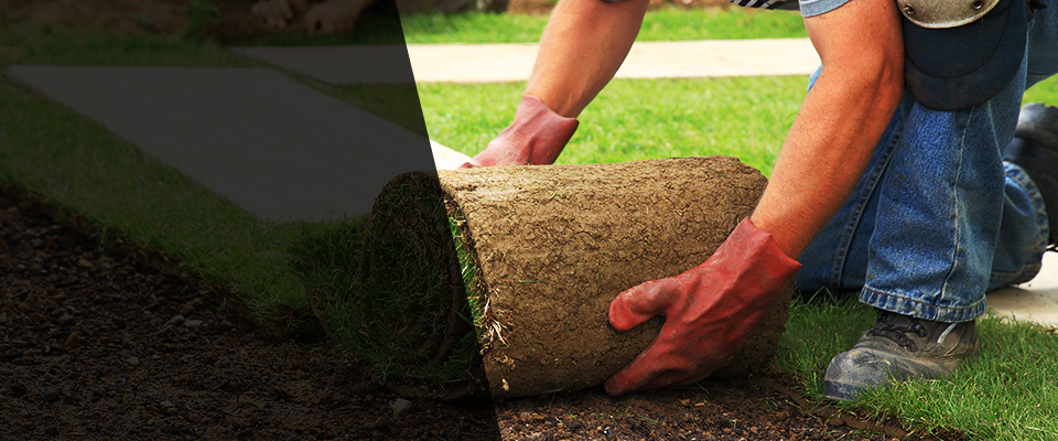 Fort Mill Landscapers